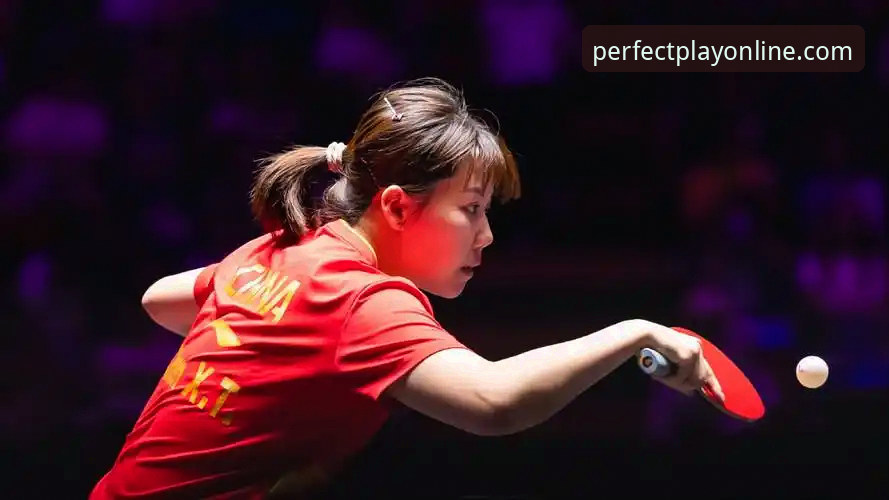 陈幸同世乒赛首秀完美正手，中国女乒横扫台北队最新动态