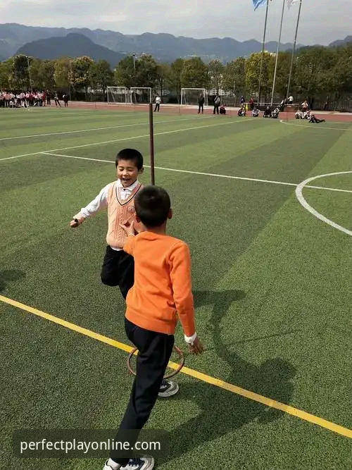 完美体育用户反馈评测 揭秘完美体育用户反馈评测:从新手到高手的沉浸式体验真相